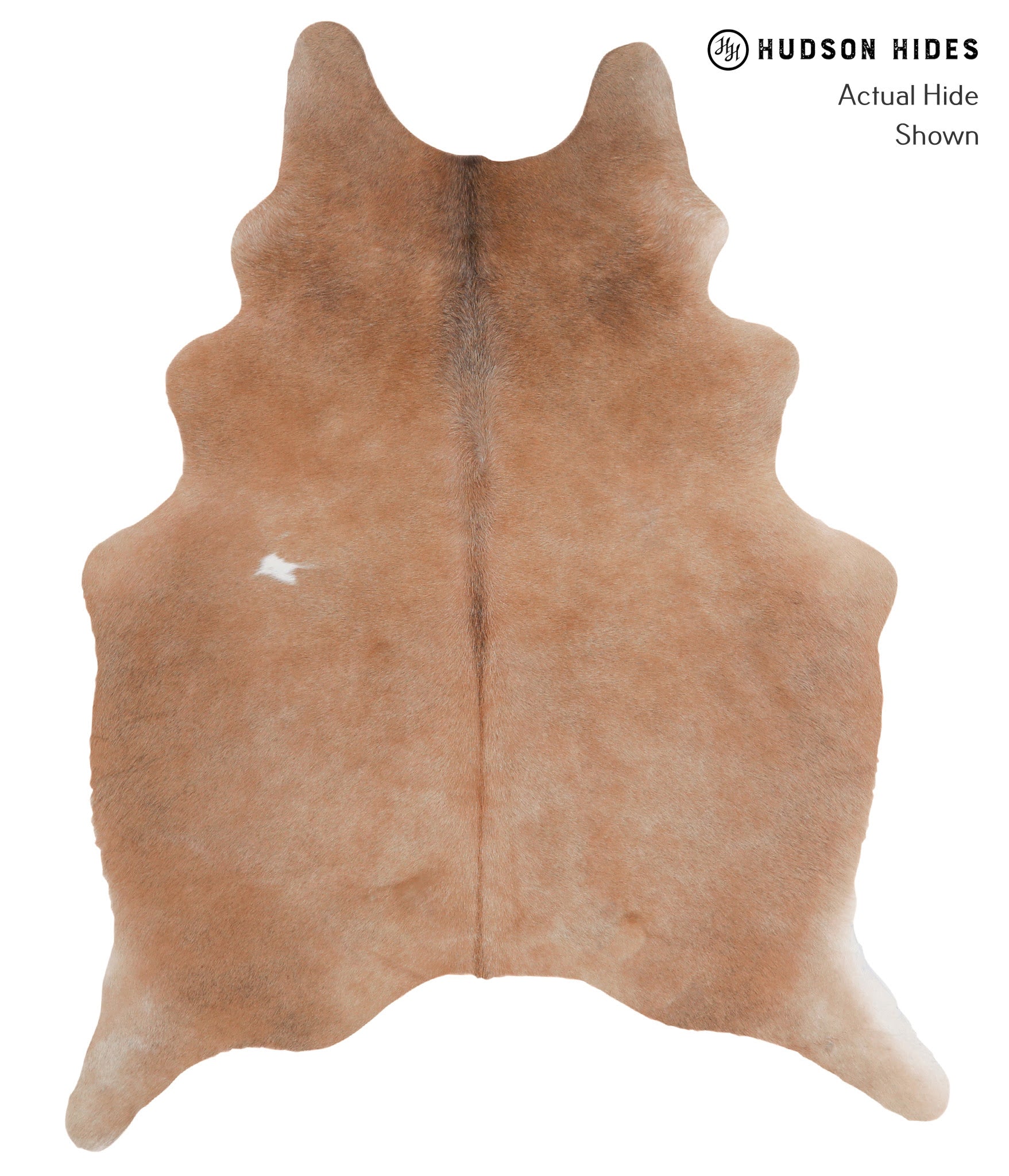 Solid Brown Large Brazilian Cowhide Rug 6'8"H x 5'2"W A4947 by Hudson