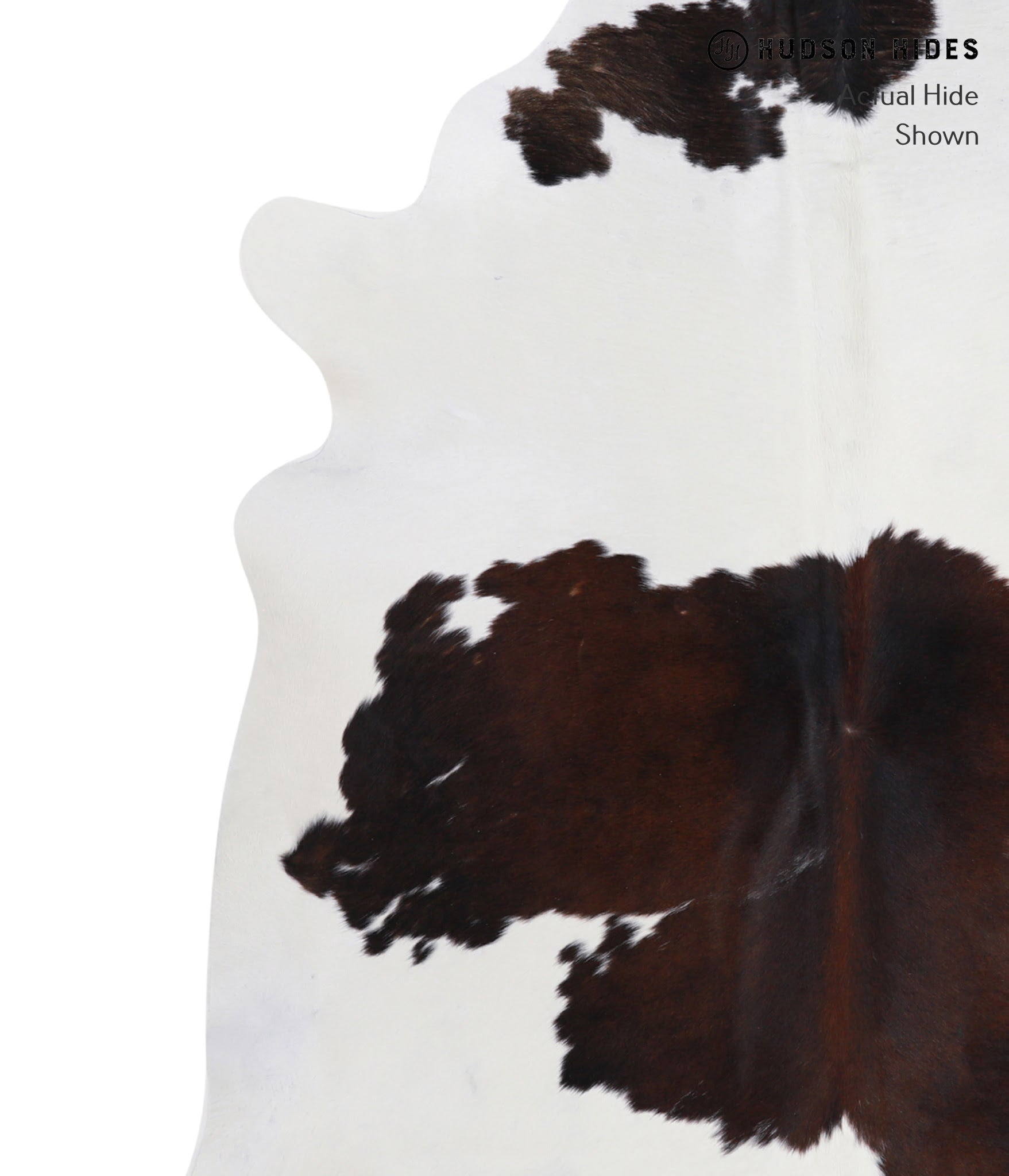 Chocolate and White Cowhide Rug #A5267