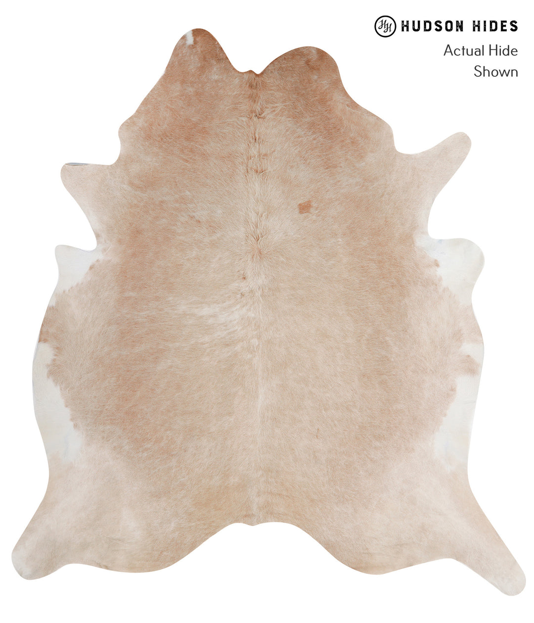 Beige XX-Large Brazilian Cowhide Rug 8'3"H x 7'6"W #A5333 by Hudson Hi