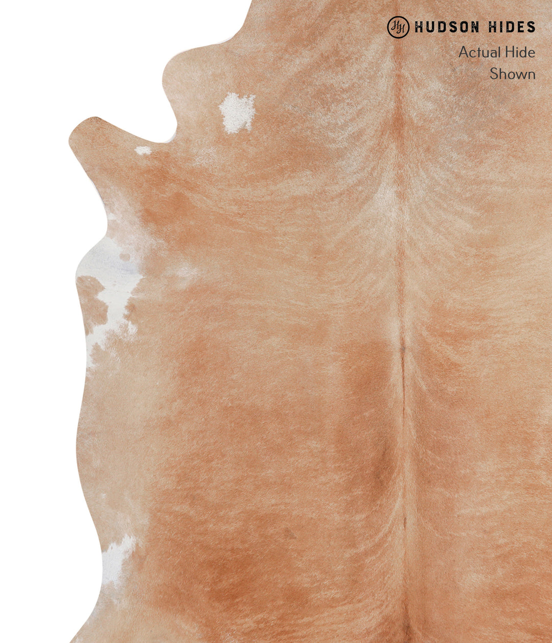 Beige XX-Large Brazilian Cowhide Rug 7'8"H x 6'11"W #A5561 by Hudson H