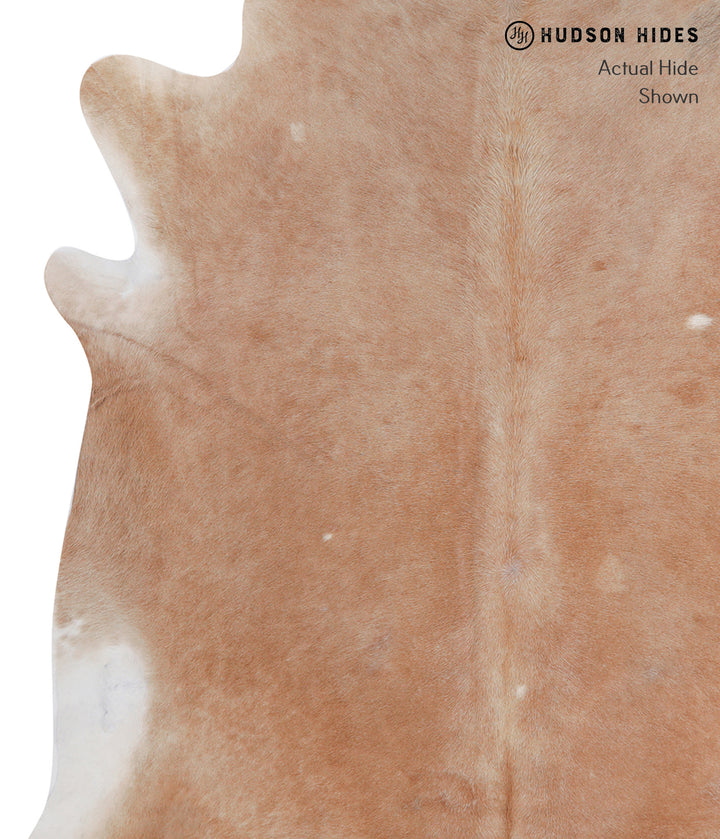 Beige XX-Large Brazilian Cowhide Rug 8'2"H x 7'8"W #A5956 by Hudson Hides