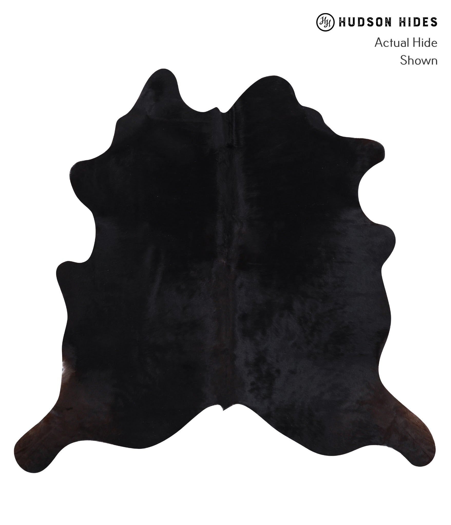 Solid Black Large Brazilian Cowhide Rug 6'0"H x 6'3"W A6381 by Hudson