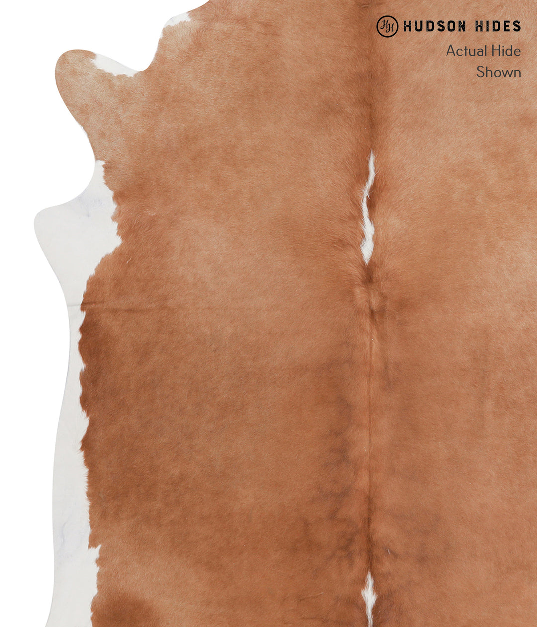 Brown and White Regular X-Large Brazilian Cowhide Rug 6'10"H x 6'2"W #