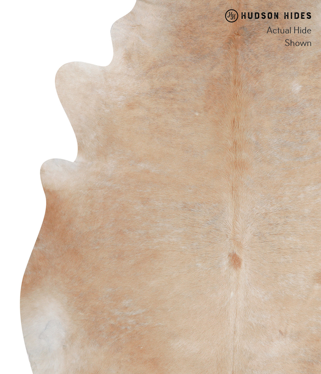 Beige XX-Large Brazilian Cowhide Rug 8'3"H x 7'6"W #A6905 by Hudson Hi