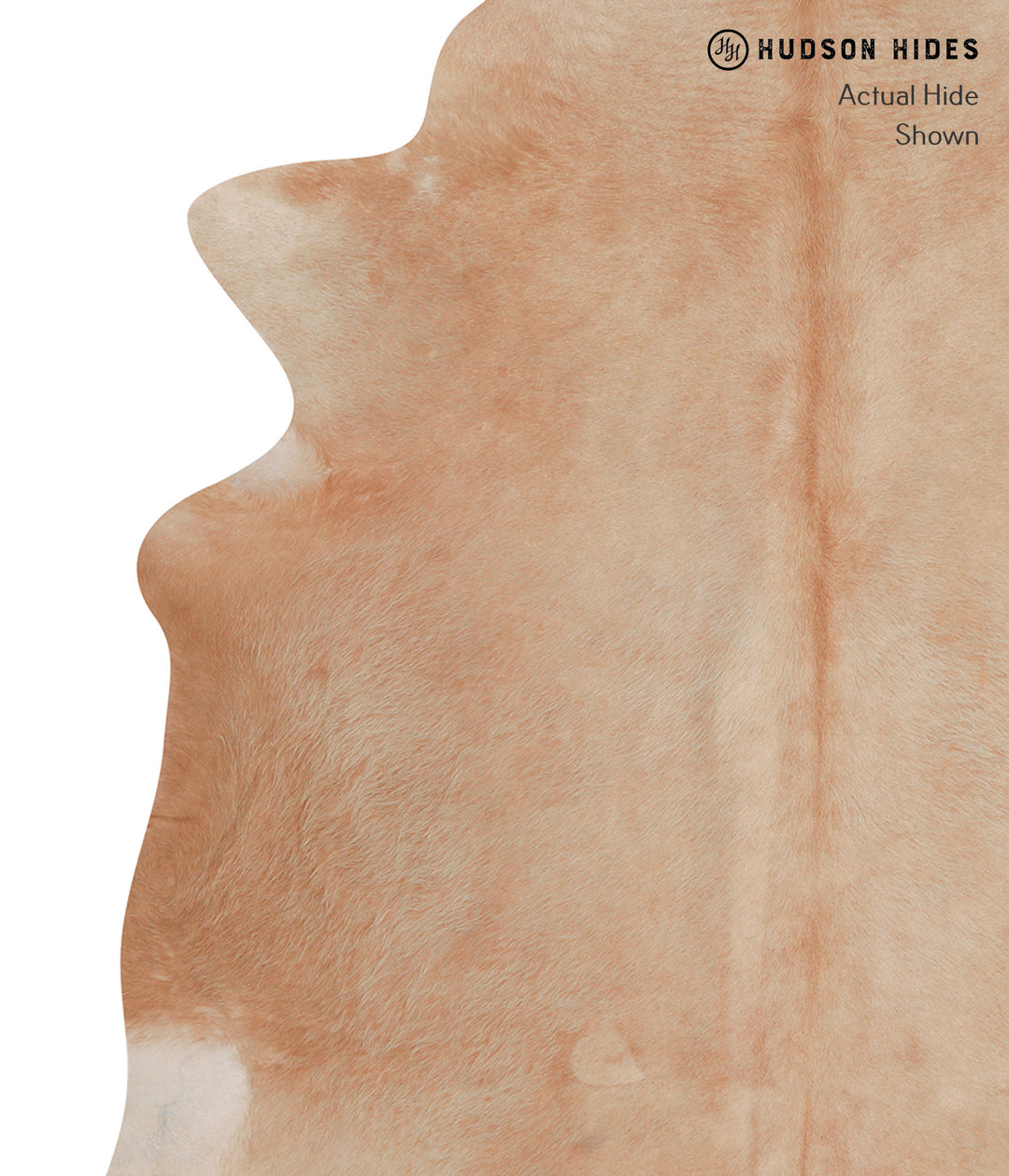Beige XX-Large Brazilian Cowhide Rug 7'4"H x 7'1"W #A6909 by Hudson Hi