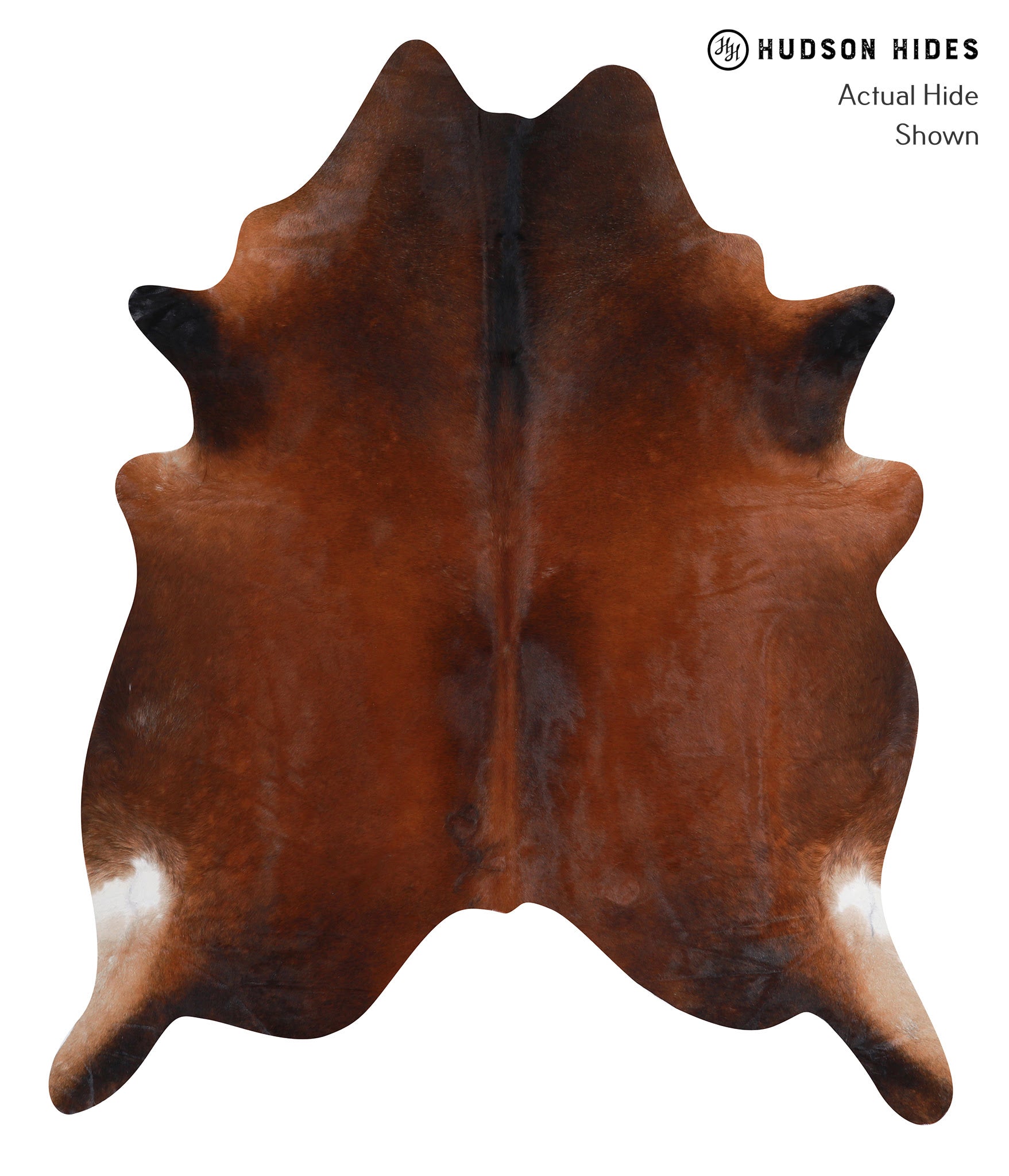 Brown with Red XLarge Brazilian Cowhide Rug 7'3"H x 6'1"W A7014 by H