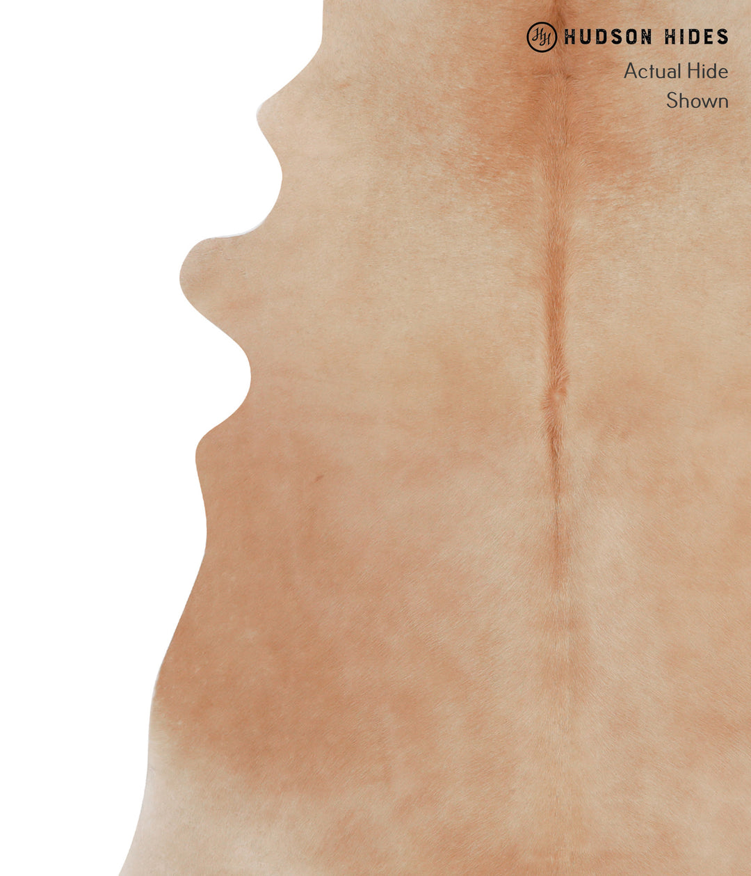 Beige X-Large Brazilian Cowhide Rug 6'10"H x 6'4"W #A7706 by Hudson Hi