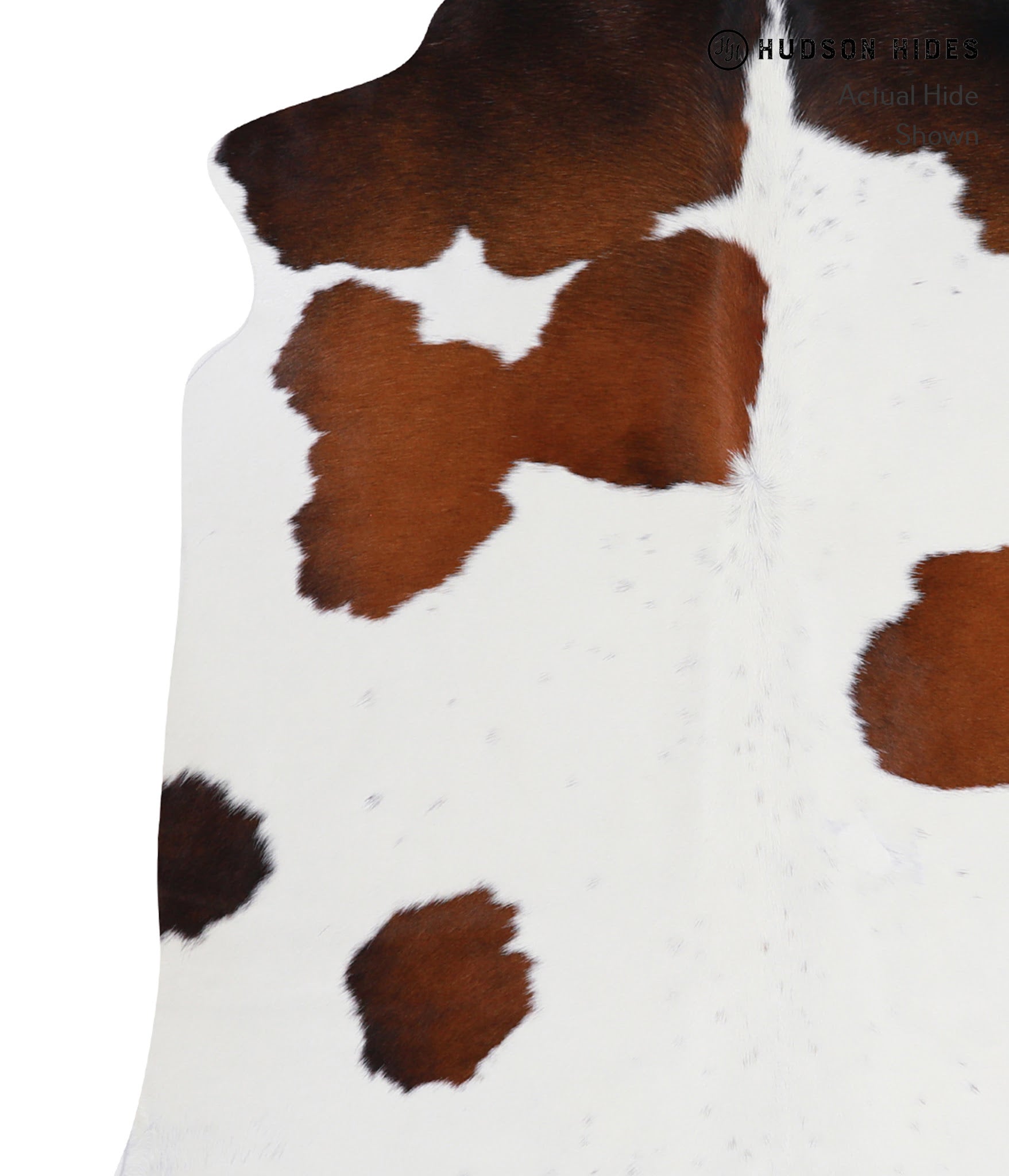 Chocolate and White Cowhide Rug #A8582