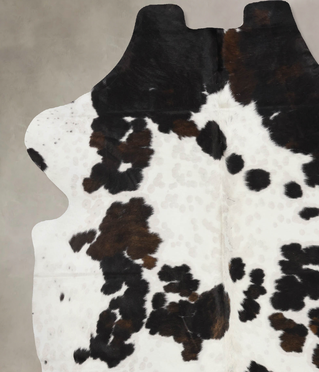 Tricolor X-Large European Cowhide Rug 7'3"H x 6'2"W #B11806 by Hudson