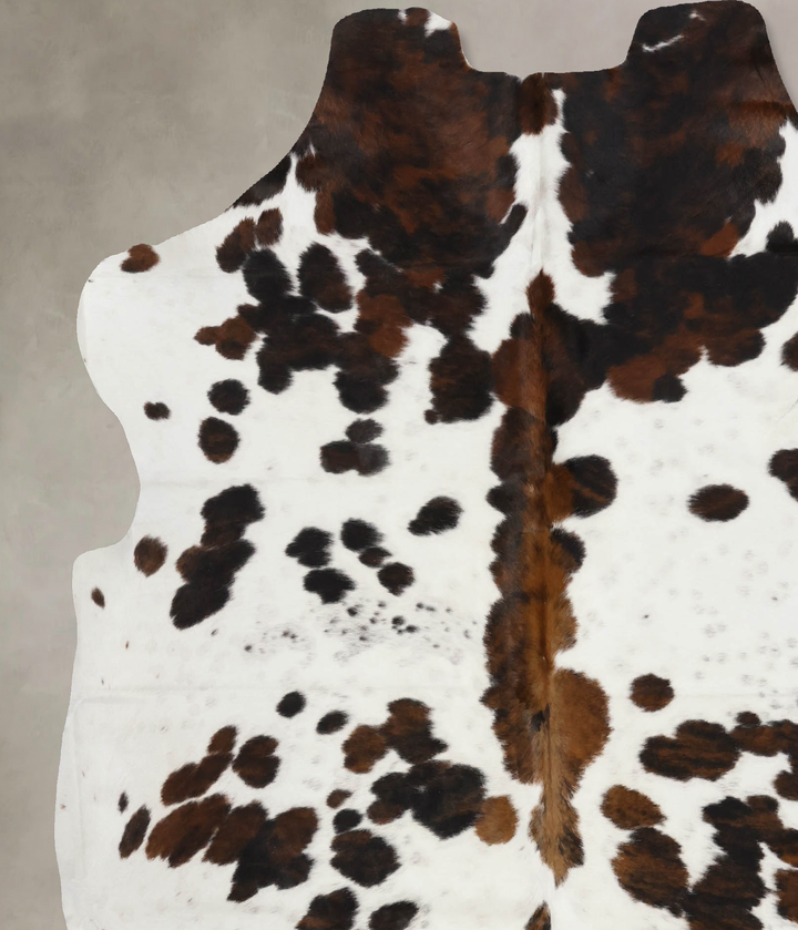 Tricolor X-Large European Cowhide Rug 6'11"H x 6'4"W #B11816 by Hudson Hides