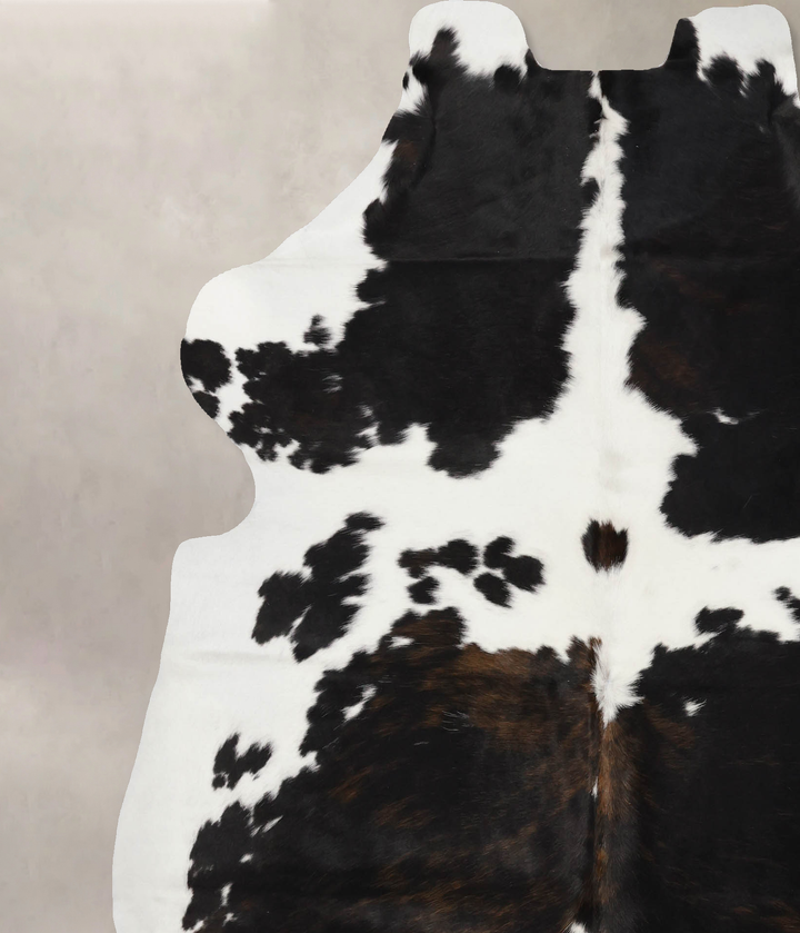 Tricolor X-Large European Cowhide Rug 7'1"H x 6'5"W #B11827 by Hudson Hides