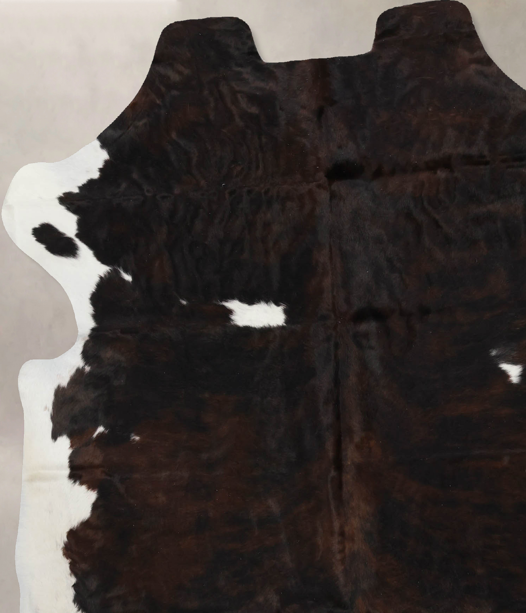 Tricolor X-Large European Cowhide Rug 6'11"H x 5'10"W #B11832 by Hudso