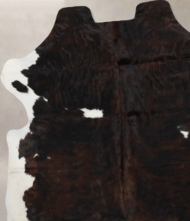 Tricolor X-Large European Cowhide Rug 6'11"H x 5'10"W #B11832 by Hudson Hides