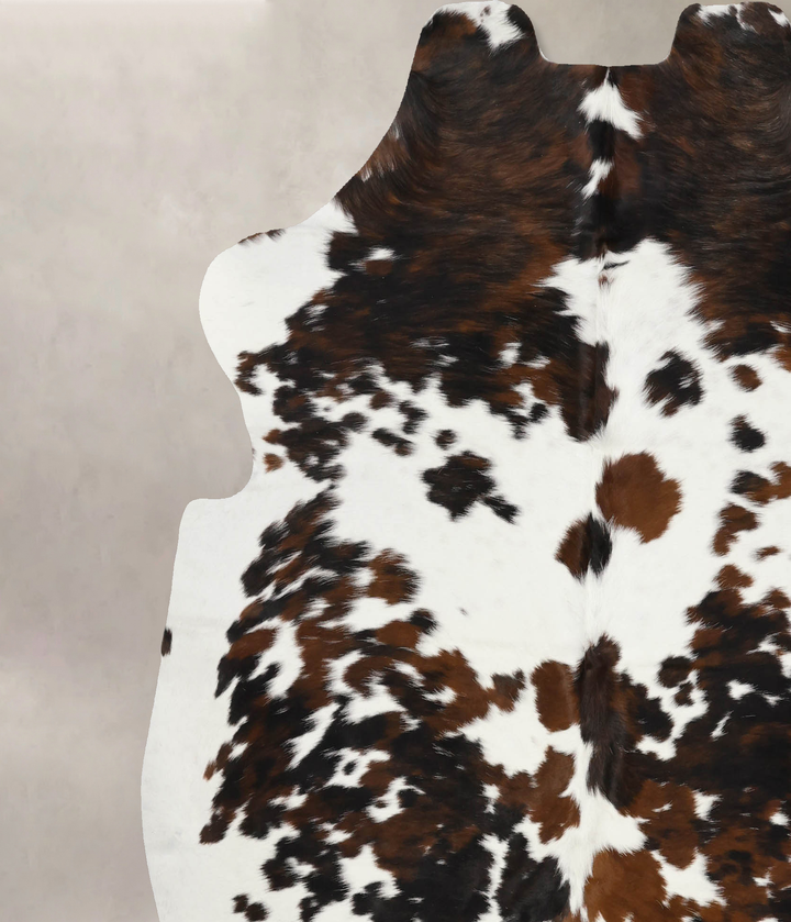 Tricolor X-Large European Cowhide Rug 6'10"H x 6'7"W #B11847 by Hudson Hides