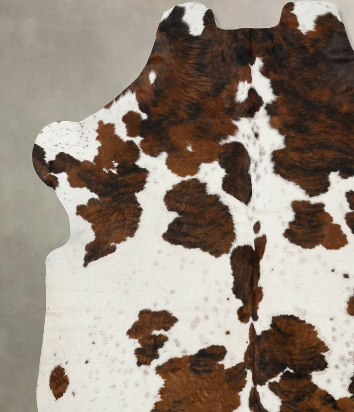 Tricolor X-Large European Cowhide Rug 7'1"H x 6'11"W #B11855 by Hudson Hides