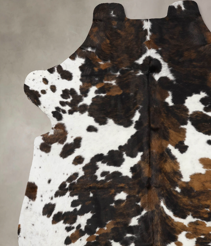 Tricolor X-Large European Cowhide Rug 7'2"H x 6'3"W #B11863 by Hudson Hides