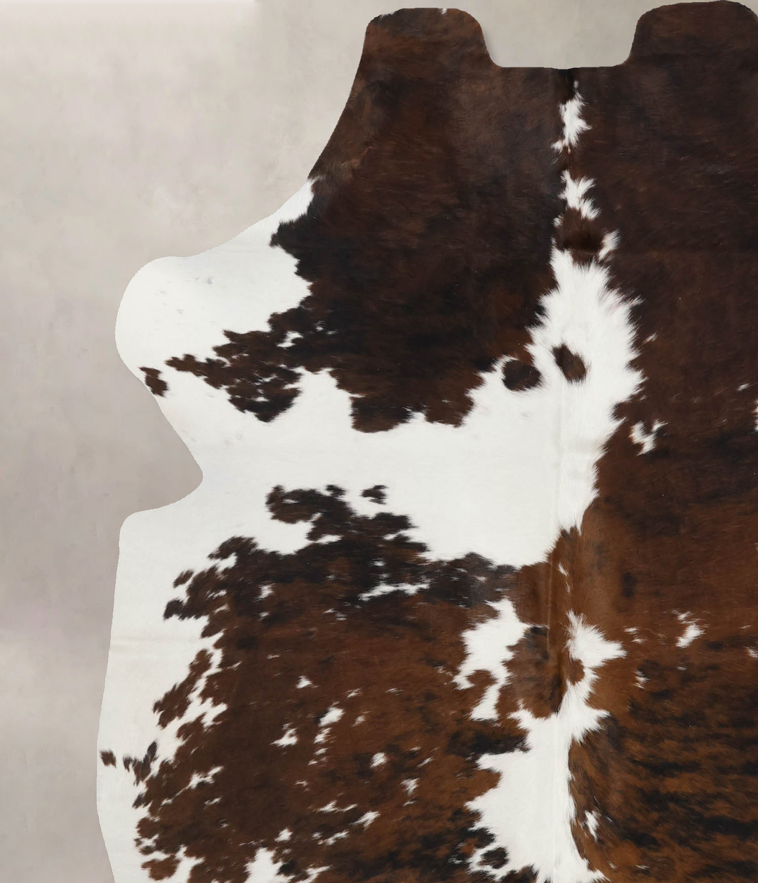 Tricolor X-Large European Cowhide Rug 6'11"H x 5'11"W #B11872 by Hudso