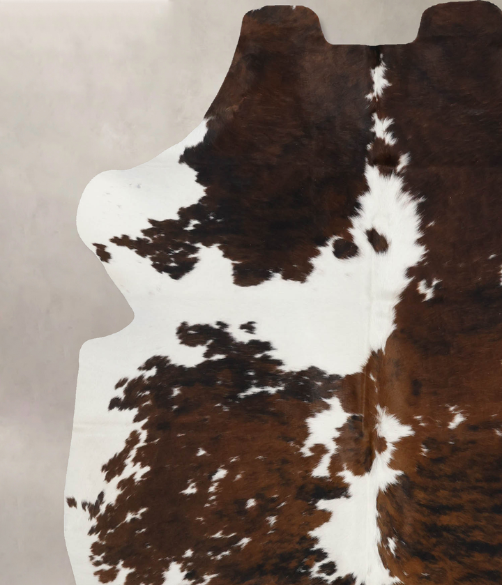 Tricolor X-Large European Cowhide Rug 6'11"H x 5'11"W #B11872 by Hudson Hides