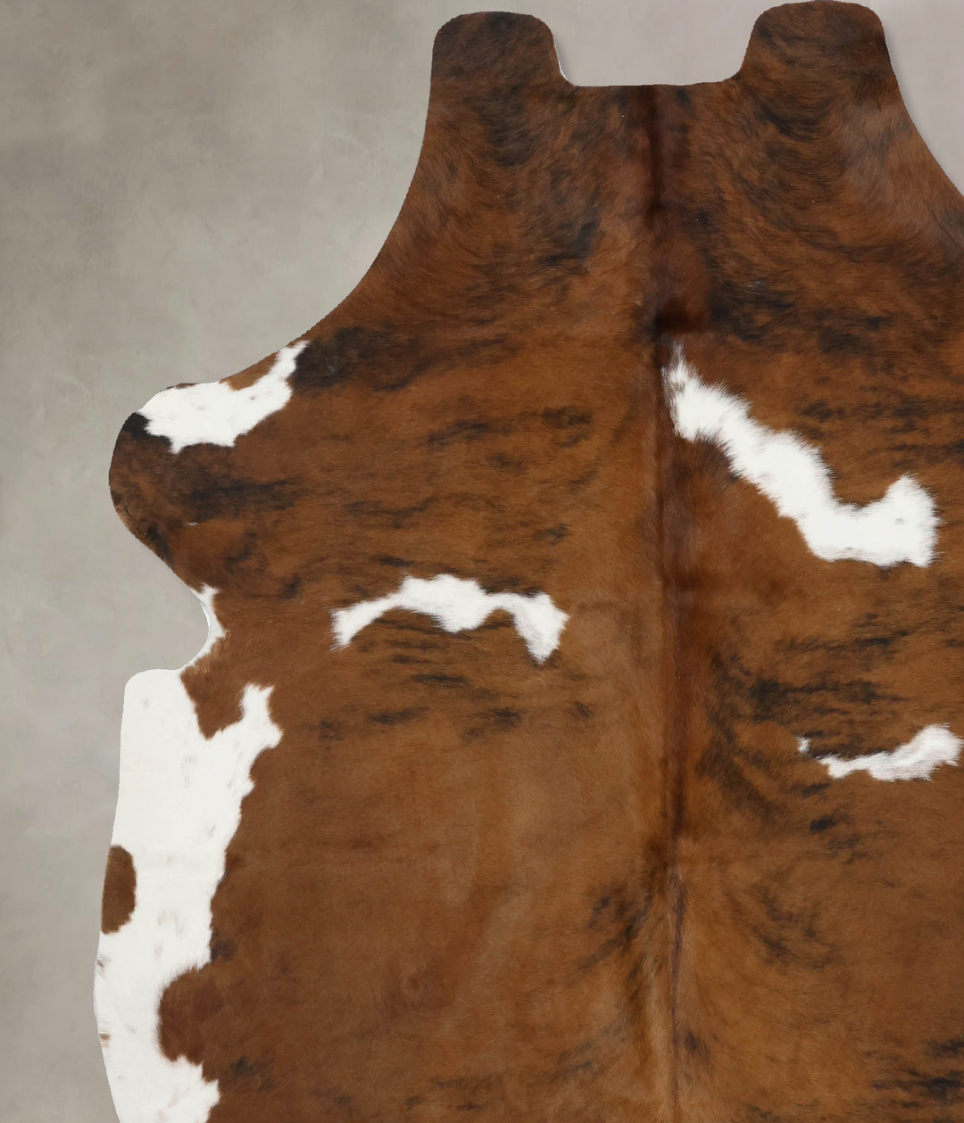 Tricolor X-Large European Cowhide Rug 6'11"H x 6'1"W #B11873 by Hudson