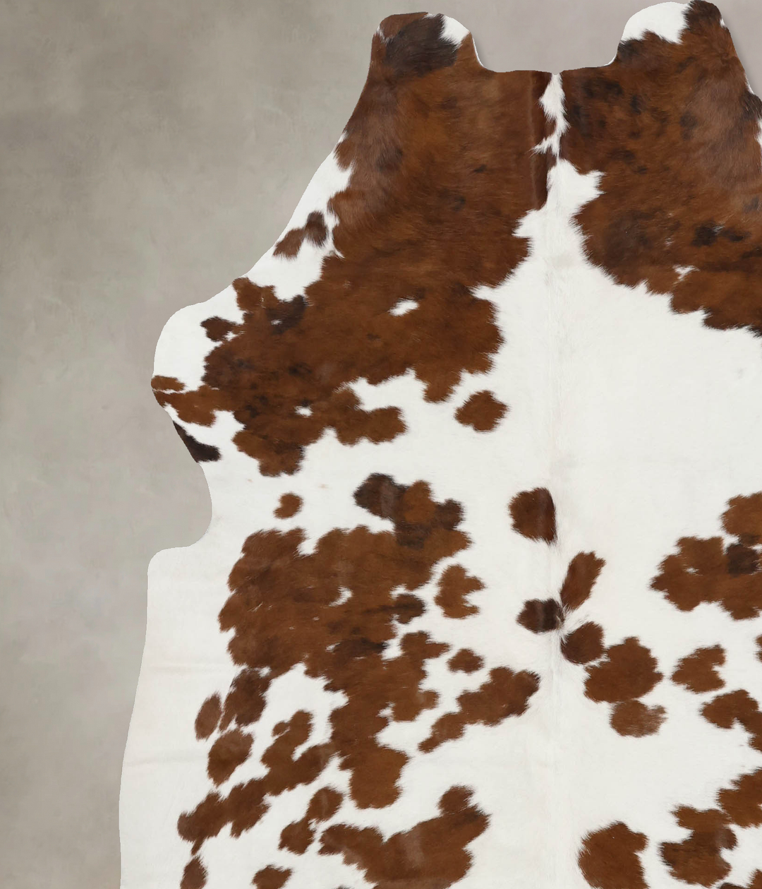 Tricolor X-Large European Cowhide Rug 7'1"H x 6'5"W #B11880 by Hudson