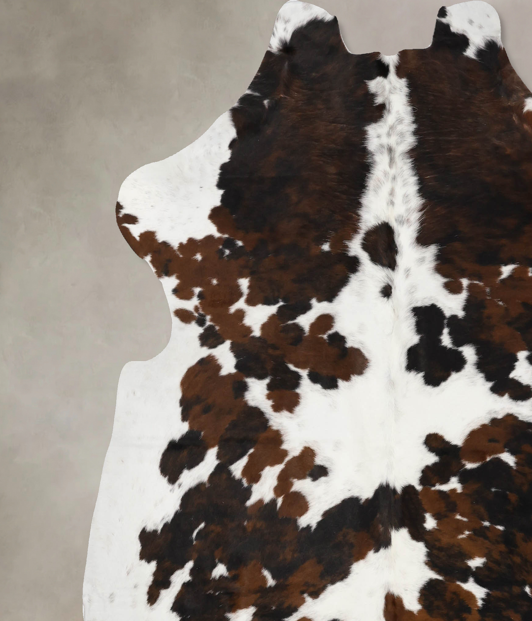 Tricolor X-Large European Cowhide Rug 7'0"H x 6'10"W #B11882 by Hudson