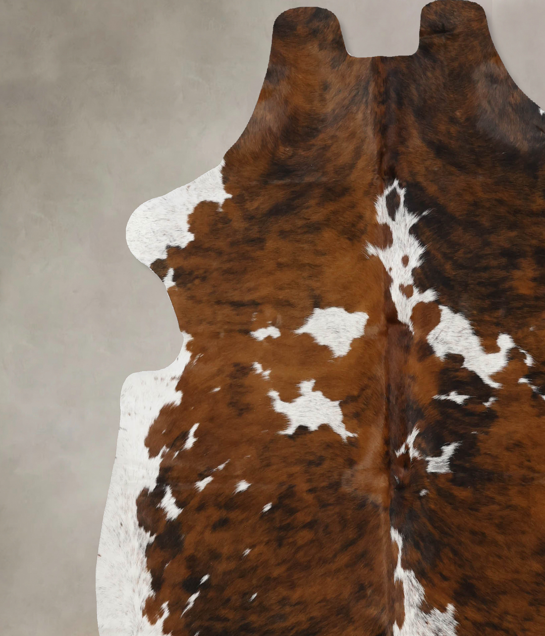 Tricolor X-Large European Cowhide Rug 6'11"H x 6'5"W #B11891 by Hudson