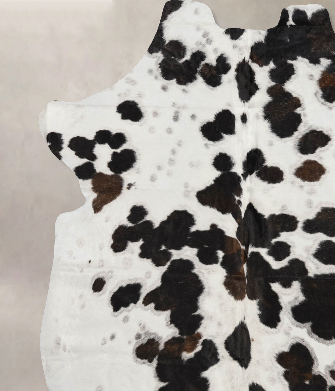 Tricolor X-Large European Cowhide Rug 7'6"H x 6'5"W #B11896 by Hudson