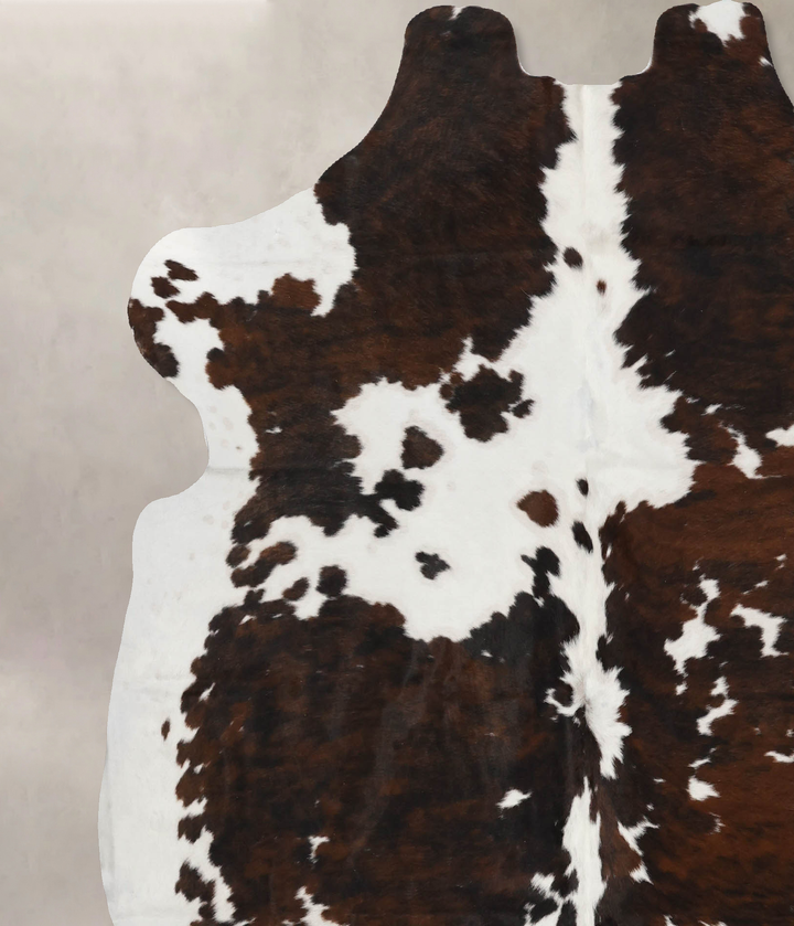 Tricolor X-Large European Cowhide Rug 7'1"H x 6'4"W #B11900 by Hudson Hides