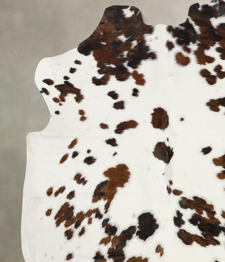 Tricolor X-Large European Cowhide Rug 7'0"H x 6'6"W #B11902 by Hudson Hides