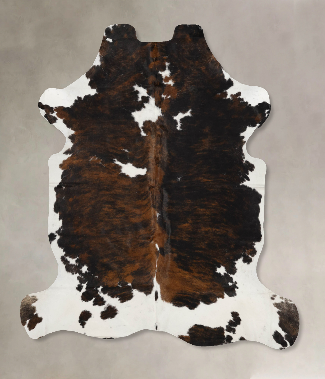 Tricolor X-Large European Cowhide Rug 7'1"H x 6'6"W #B11912 by Hudson