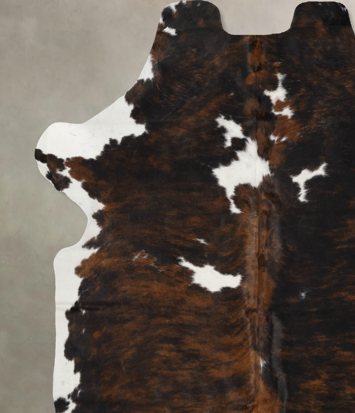 Tricolor X-Large European Cowhide Rug 7'1"H x 6'6"W #B11912 by Hudson Hides