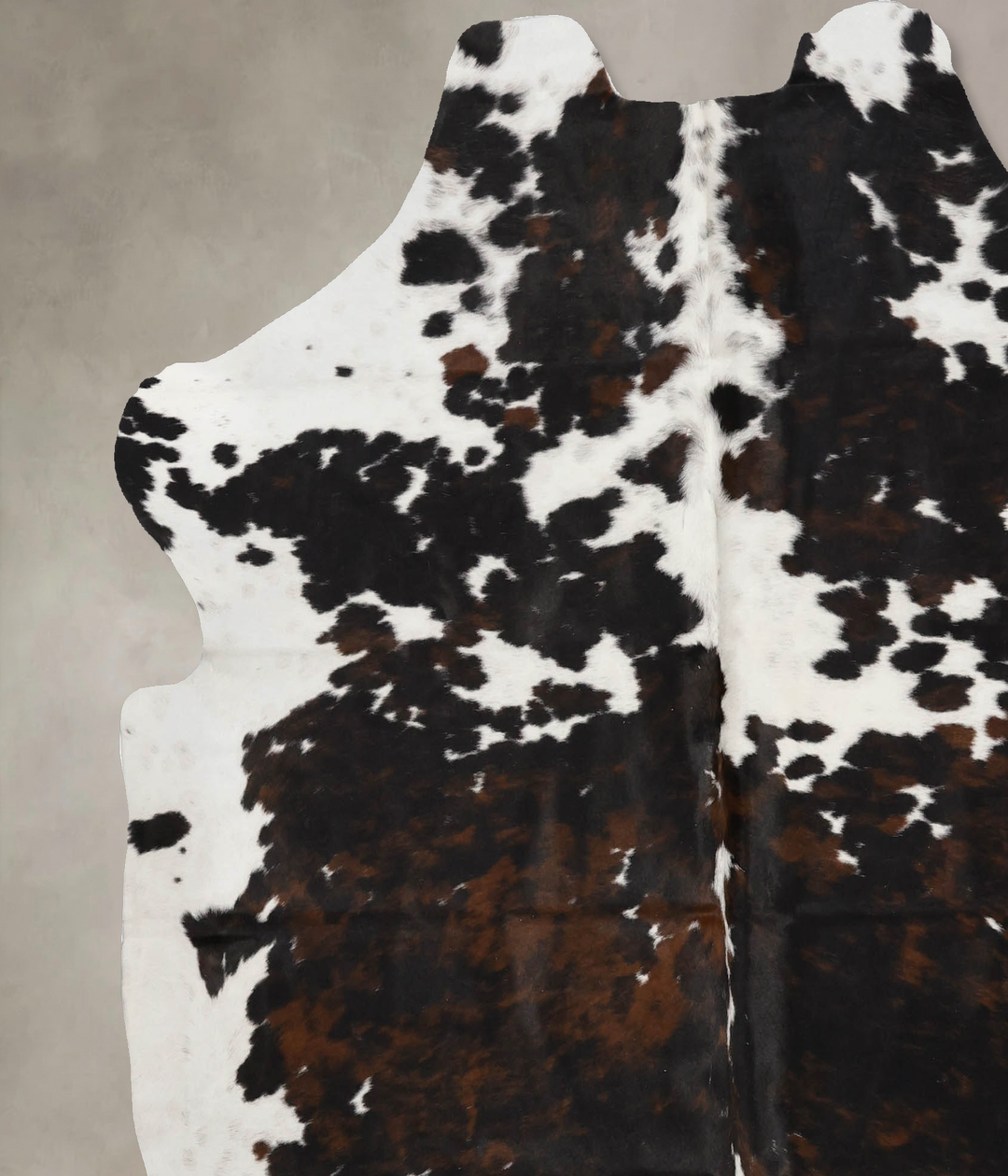 Tricolor X-Large European Cowhide Rug 6'10"H x 6'7"W #B11914 by Hudson