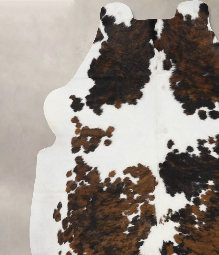 Tricolor X-Large European Cowhide Rug 7'2"H x 6'6"W #B11916 by Hudson Hides