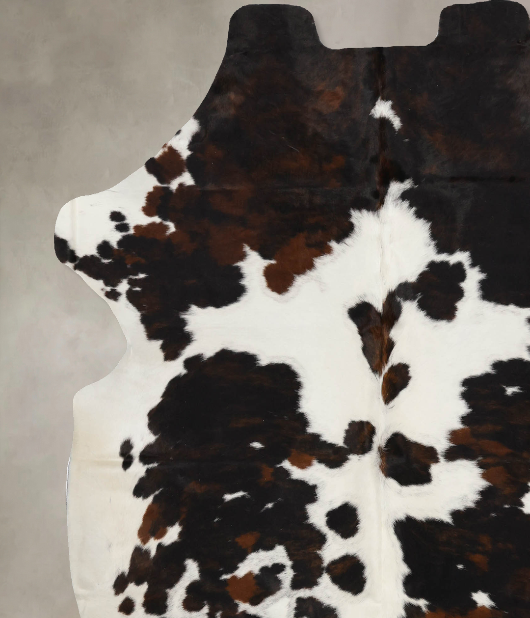 Tricolor X-Large European Cowhide Rug 7'2"H x 6'8"W #B11918 by Hudson