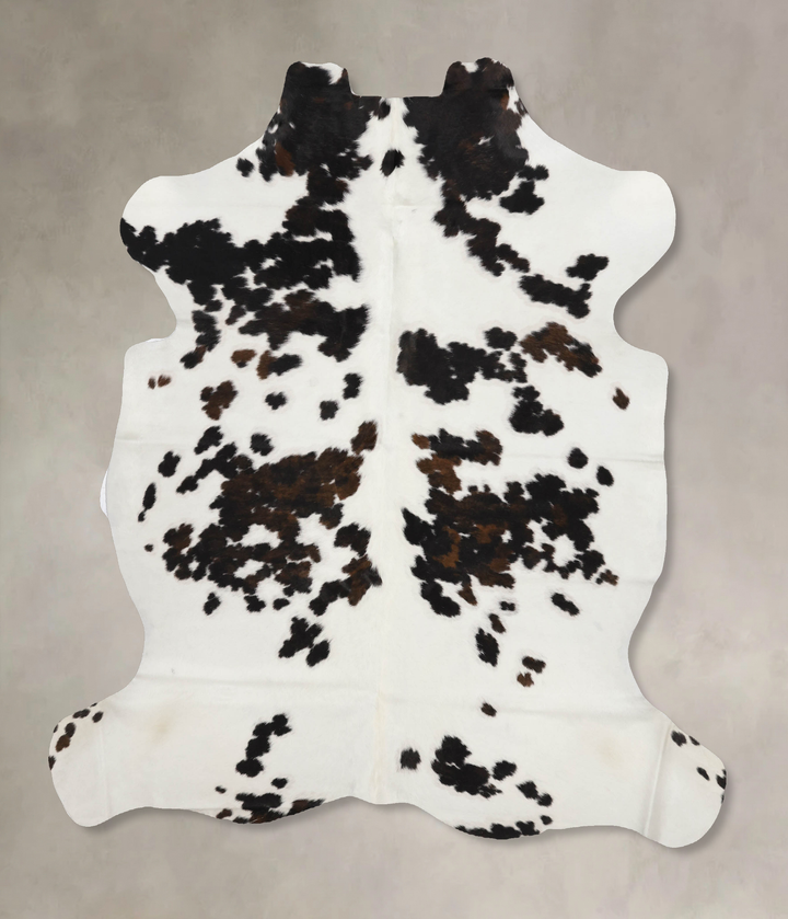 Tricolor X-Large European Cowhide Rug 6'11"H x 6'1"W #B11922 by Hudson Hides