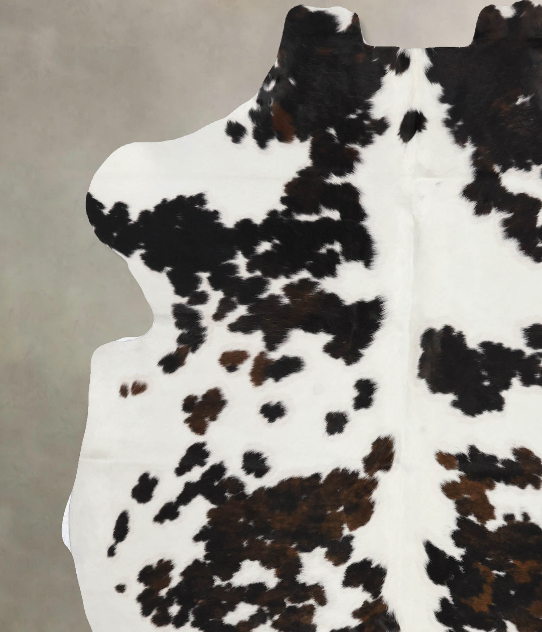 Tricolor X-Large European Cowhide Rug 6'11"H x 6'1"W #B11922 by Hudson