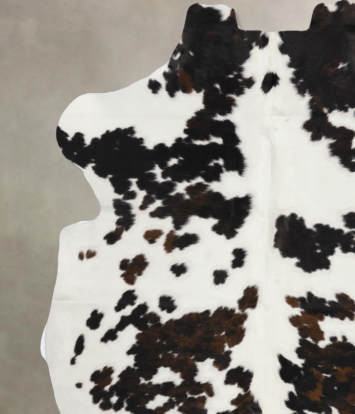 Tricolor X-Large European Cowhide Rug 6'11"H x 6'1"W #B11922 by Hudson Hides