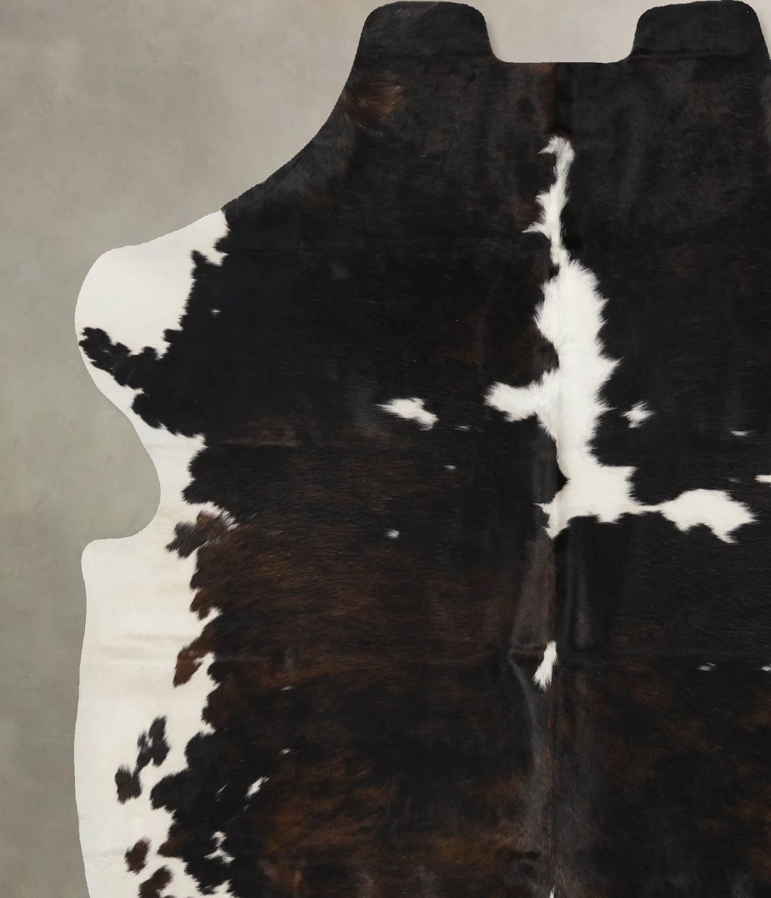 Tricolor X-Large European Cowhide Rug 7'2"H x 6'1"W #B11924 by Hudson