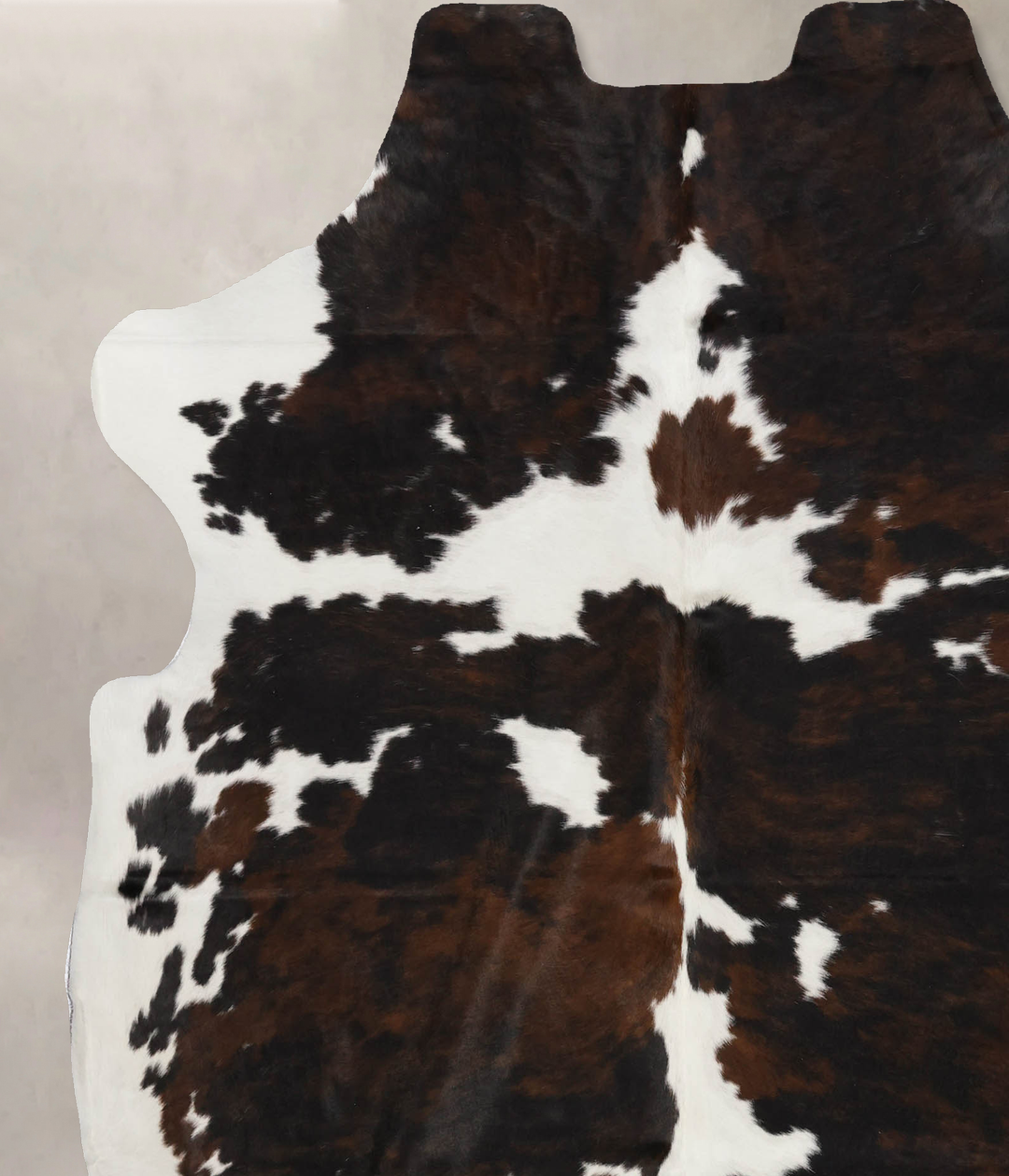 Tricolor X-Large European Cowhide Rug 7'1"H x 6'3"W #B11931 by Hudson
