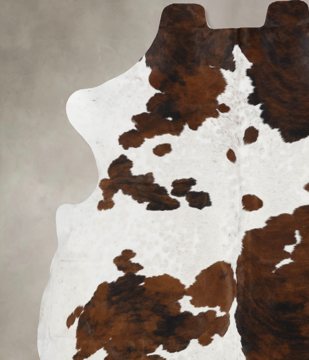 Tricolor X-Large European Cowhide Rug 7'3"H x 6'4"W #B11934 by Hudson