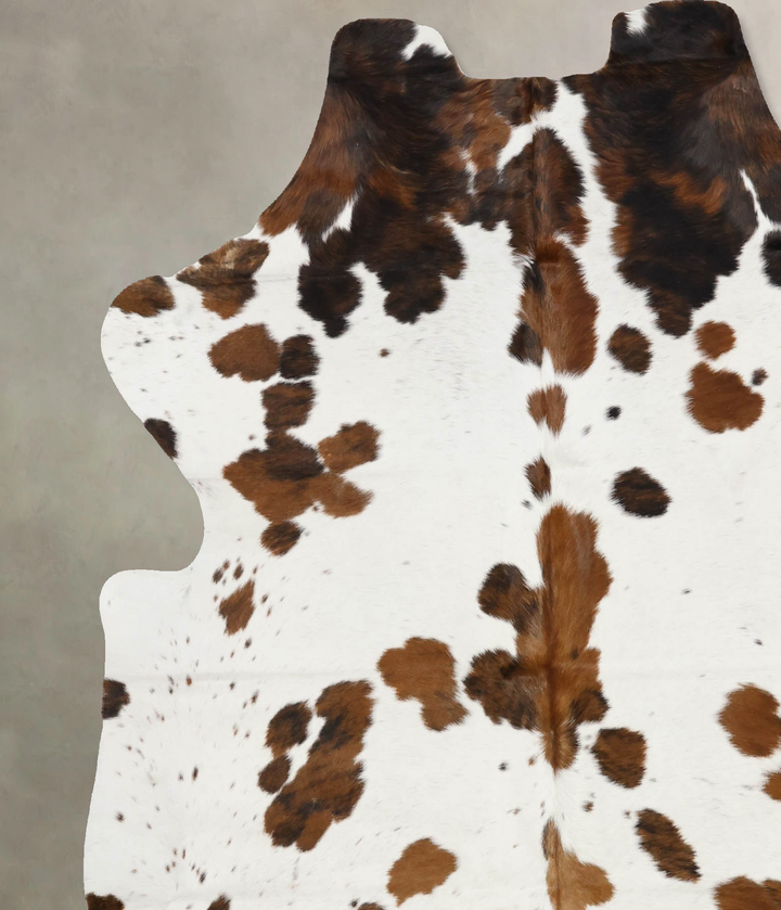 Tricolor X-Large European Cowhide Rug 6'10"H x 6'1"W #B11942 by Hudson Hides