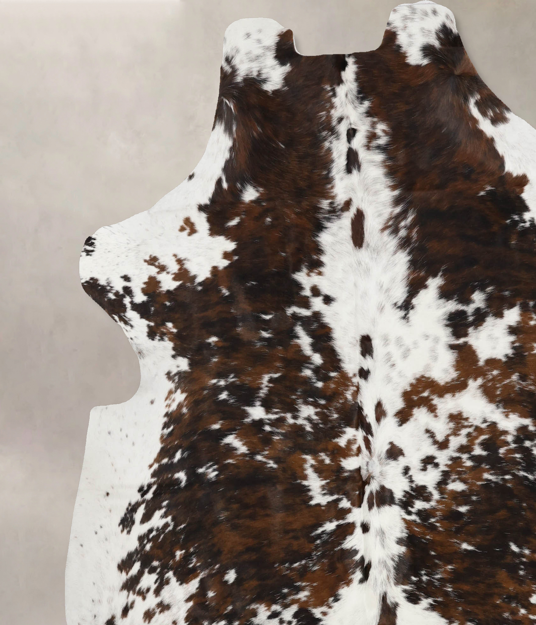 Tricolor X-Large European Cowhide Rug 7'4"H x 6'8"W #B11944 by Hudson