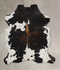 Tricolor X-Large European Cowhide Rug 7'1