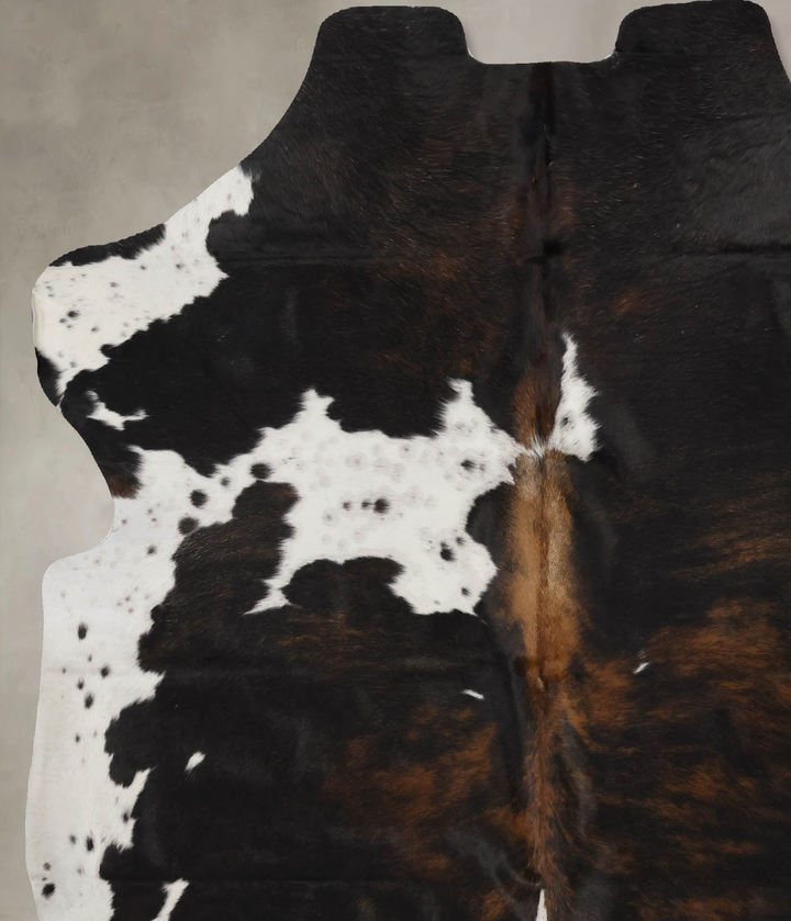 Tricolor X-Large European Cowhide Rug 7'1"H x 6'1"W #B11947 by Hudson Hides