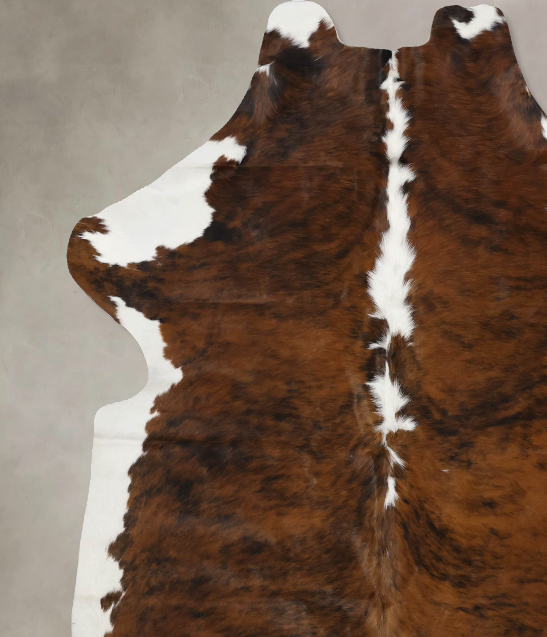Tricolor X-Large European Cowhide Rug 6'11"H x 6'0"W #B11952 by Hudson