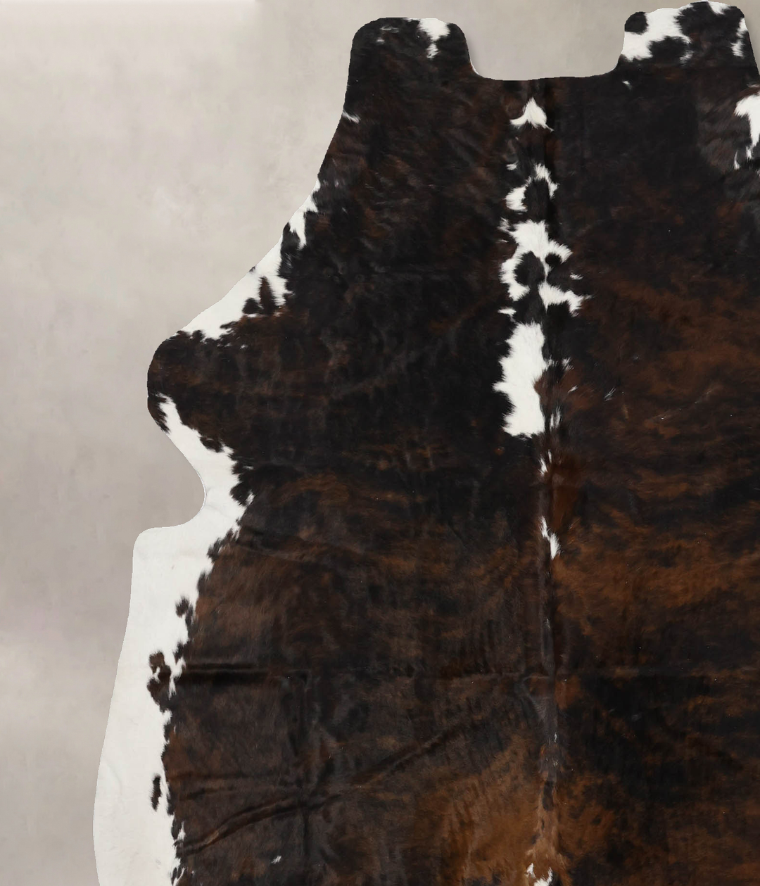 Tricolor X-Large European Cowhide Rug 6'10"H x 6'2"W #B11965 by Hudson