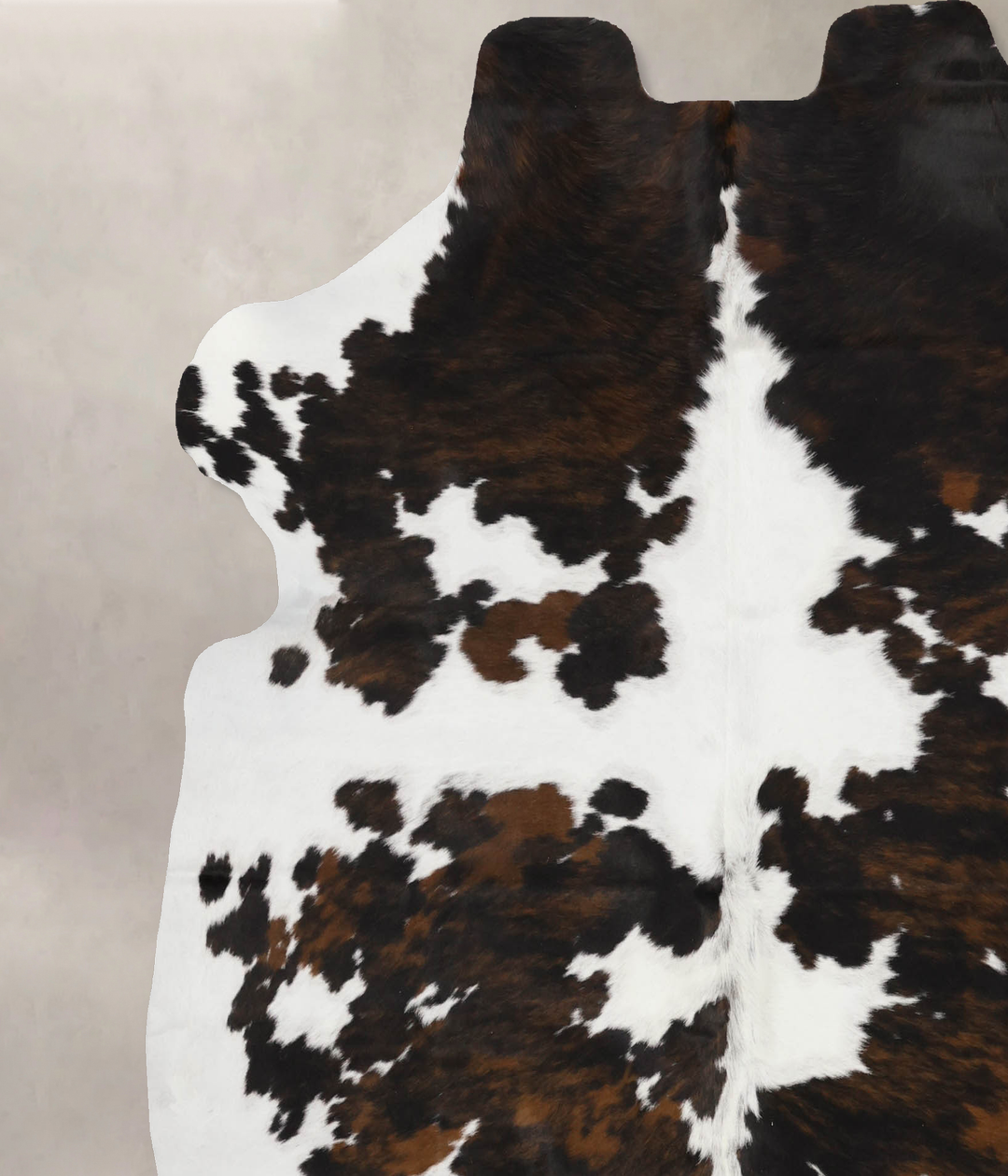 Tricolor X-Large European Cowhide Rug 6'10"H x 6'5"W #B11970 by Hudson