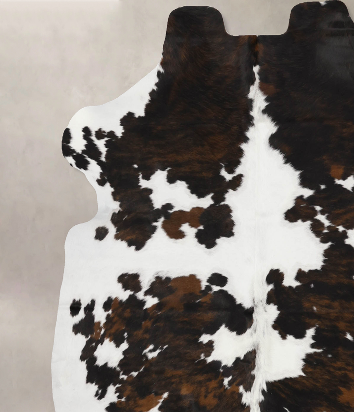 Tricolor X-Large European Cowhide Rug 6'10"H x 6'5"W #B11970 by Hudson Hides