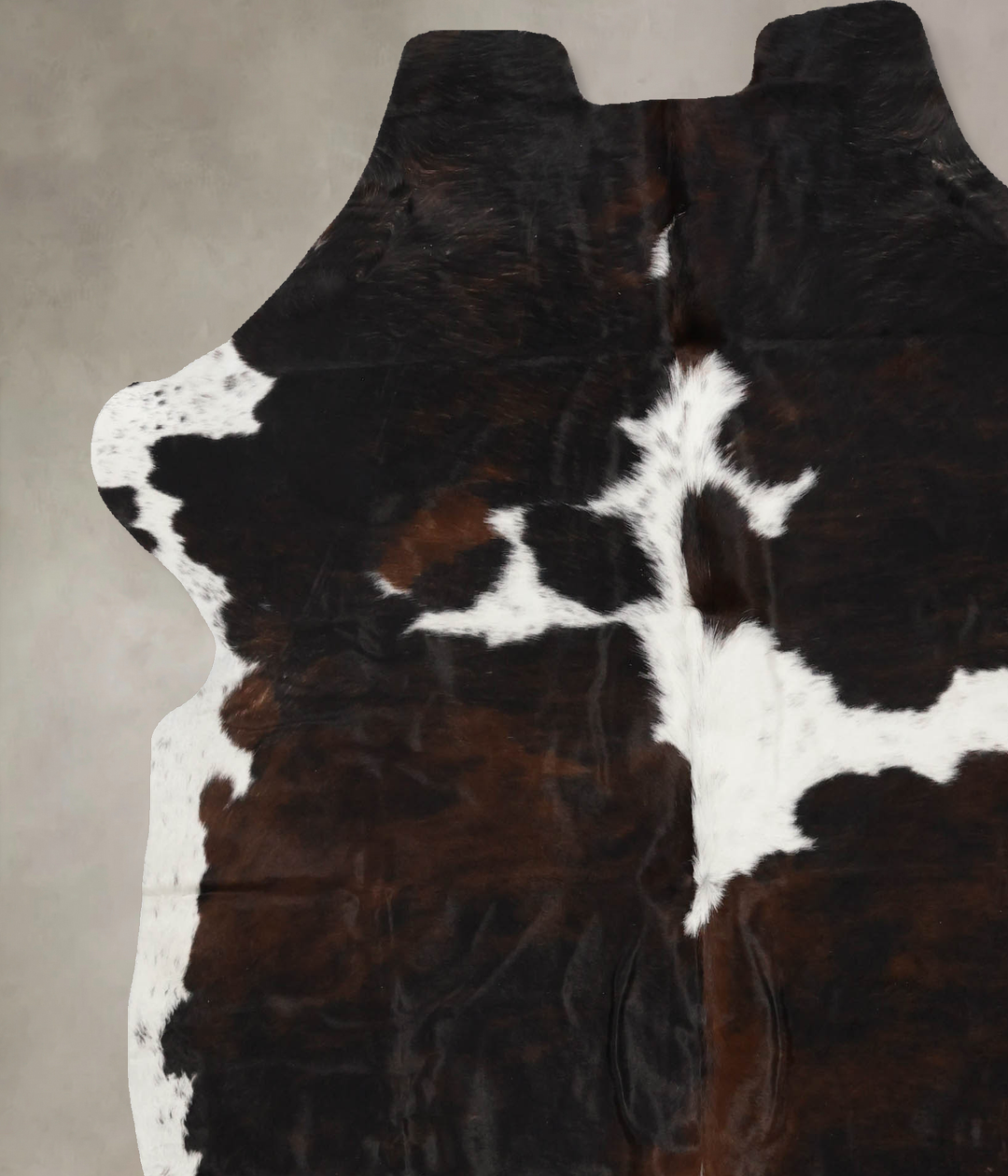 Tricolor X-Large European Cowhide Rug 7'1"H x 6'5"W #B11975 by Hudson