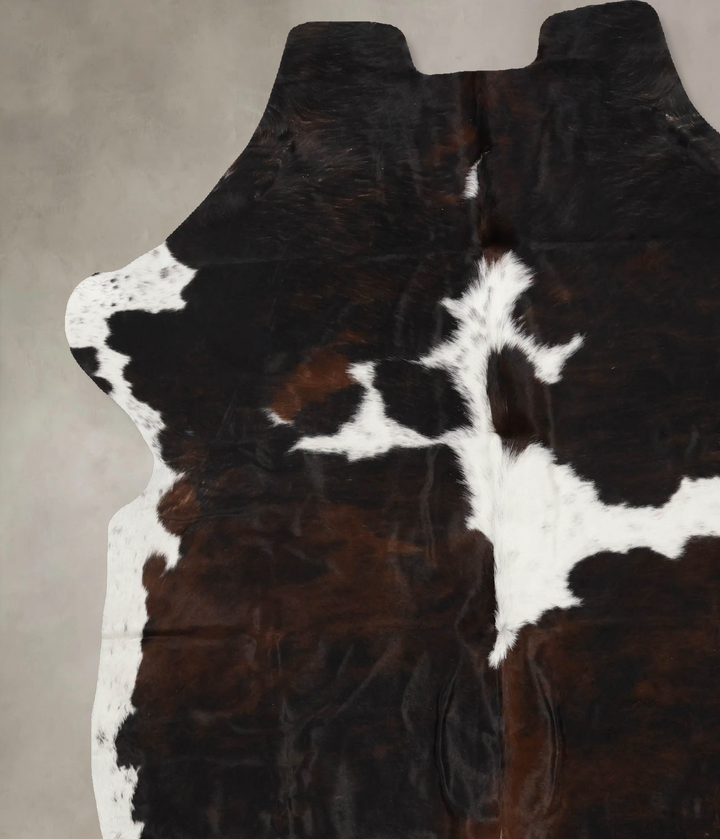 Tricolor X-Large European Cowhide Rug 7'1"H x 6'5"W #B11975 by Hudson Hides